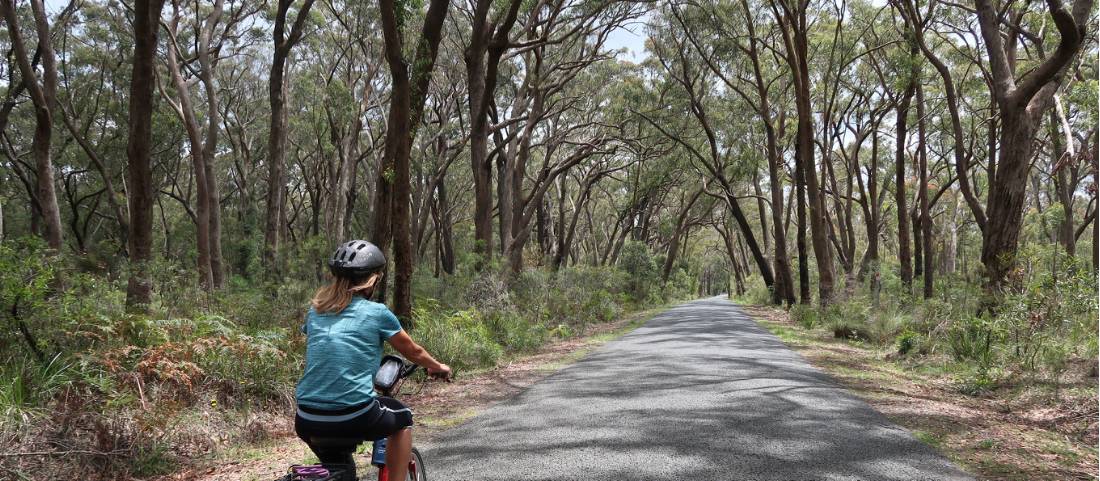 Cycling the quiet route to Robertson |  <i>Kate Baker</i>