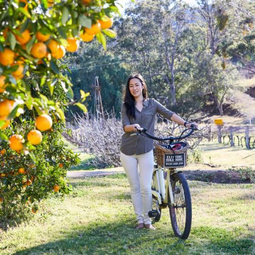 Cycling through orchards in the Hunter Valley