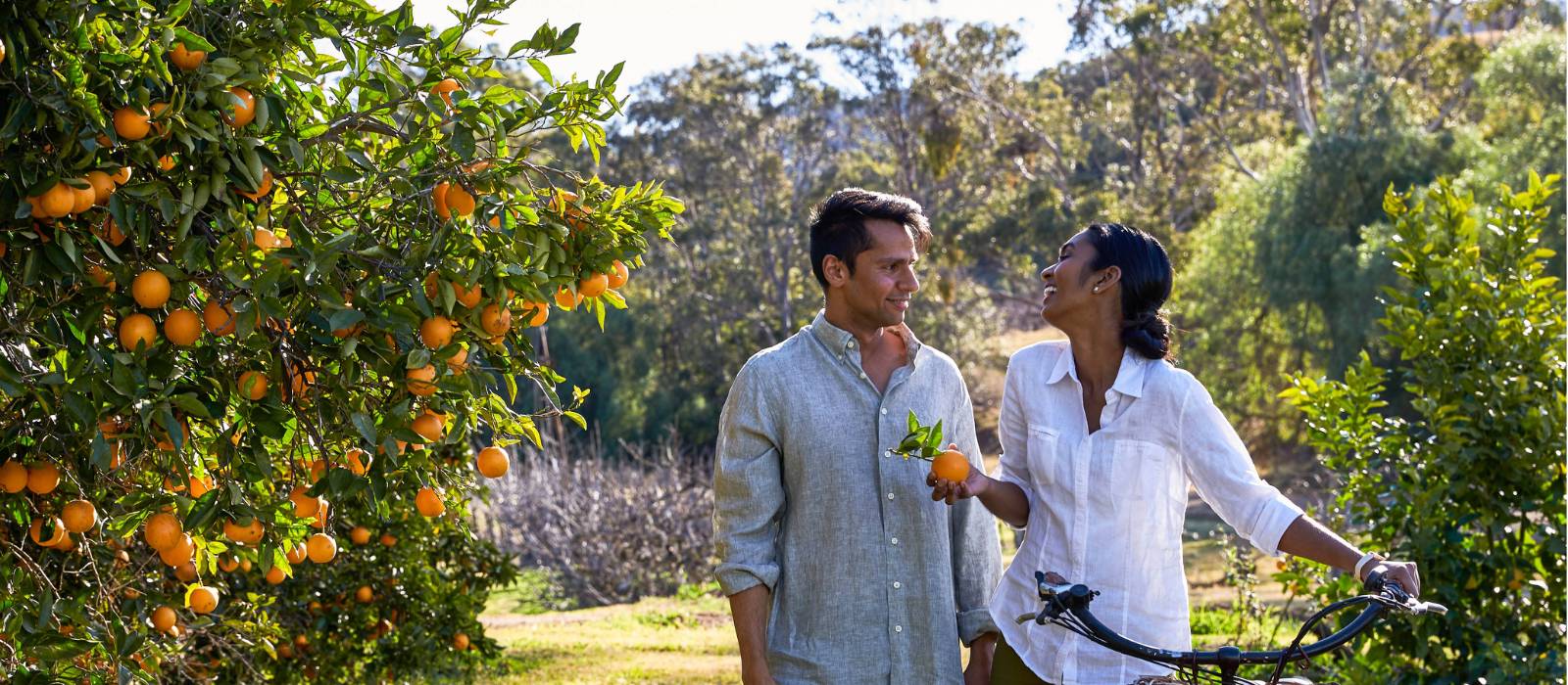Cycling through orchards in the Hunter Valley