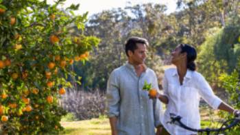 Cycling through orchards in the Hunter Valley