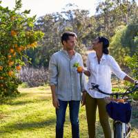 Cycling through orchards in the Hunter Valley