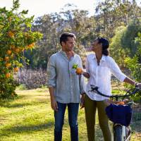 Cycling through orchards in the Hunter Valley