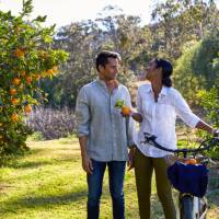 Cycling through orchards in the Hunter Valley