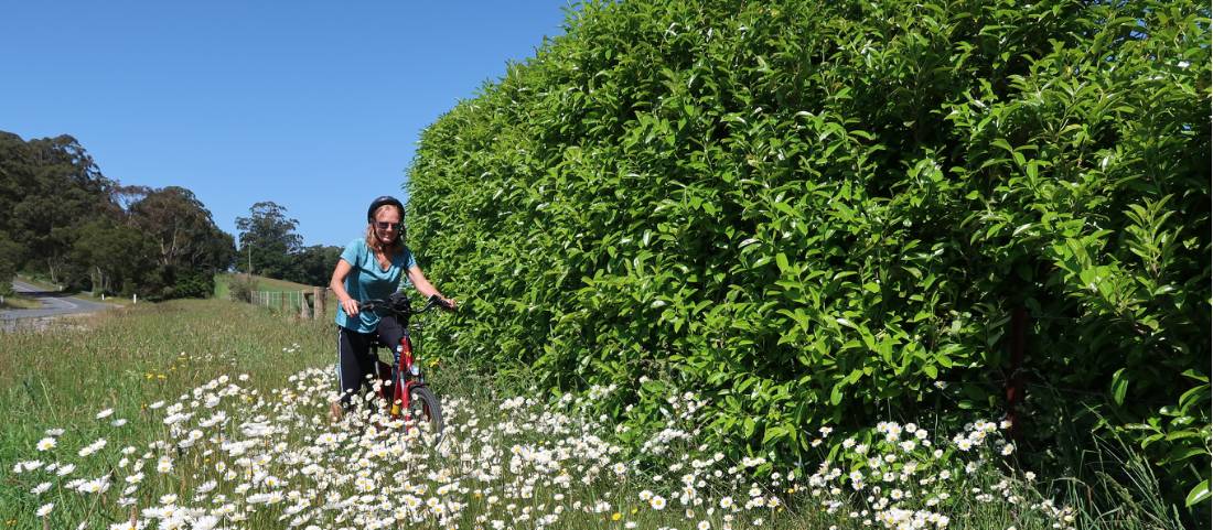 Cycling through spring flowers in the Southern Highlands |  <i>Kate Baker</i>