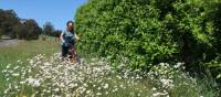 Cycling through spring flowers in the Southern Highlands | Kate Baker