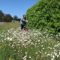 Cycling through spring flowers in the Southern Highlands | Kate Baker