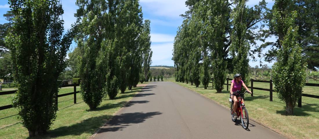 Cycling up the entrance driveway to Berkelouw Books near Bowral |  <i>Kate Baker</i>