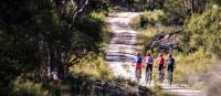 Explore one of the many cycle trails of the Blue Mountains | Sam Carr