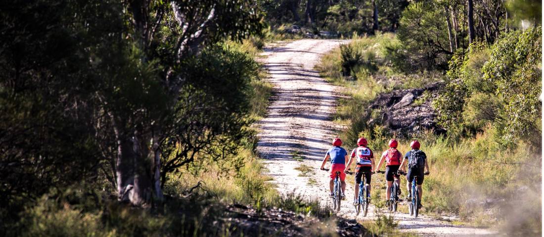 Explore one of the many cycle trails of the Blue Mountains |  <i>Sam Carr</i>