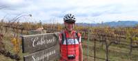 Cyclist in the Cabernet Sauvignon vines at a vineyard in Mudgee | Ross Baker