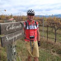 Cyclist in the Cabernet Sauvignon vines at a vineyard in Mudgee | Ross Baker