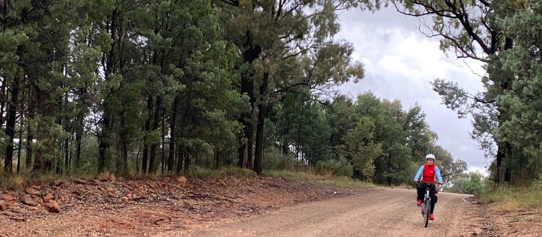 Cyclist on a corrugated section of road between Ballimore and Dubbo |  <i>Michele Eckersley</i>