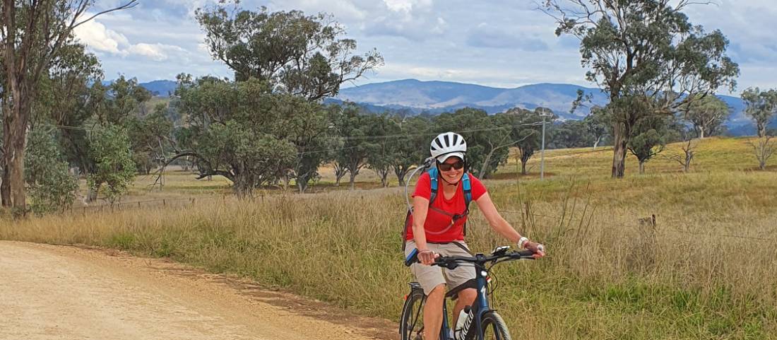 Cyclist on the Central West Cycle route between Mudgee and Gulgong |  <i>Ross Baker</i>