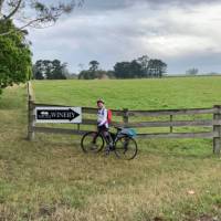 Cyclist stopping for winetasting at the Two Figs Winery near Nowra | Kate Baker