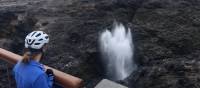 Cyclist viewing the Kiama Blowhole on the south coast cycle | Kate Baker