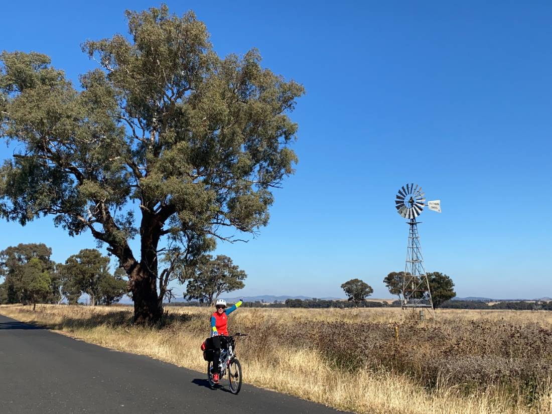 Cyclist with Windmill on route between Gulgong and Dunedoo |  <i>Michele Eckersley</i>