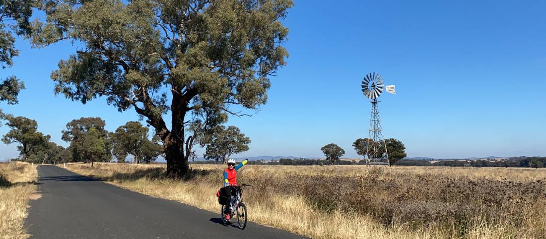 Cyclist with Windmill on route between Gulgong and Dunedoo |  <i>Michele Eckersley</i>