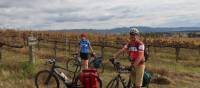 Cyclists in the vines at the Moothi Estate in Mudgee | Ross Baker