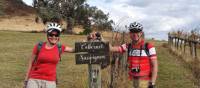 Cyclists in the vines at the Moothi Estate in Mudgee | Ross Baker