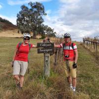 Cyclists in the vines at the Moothi Estate in Mudgee | Ross Baker