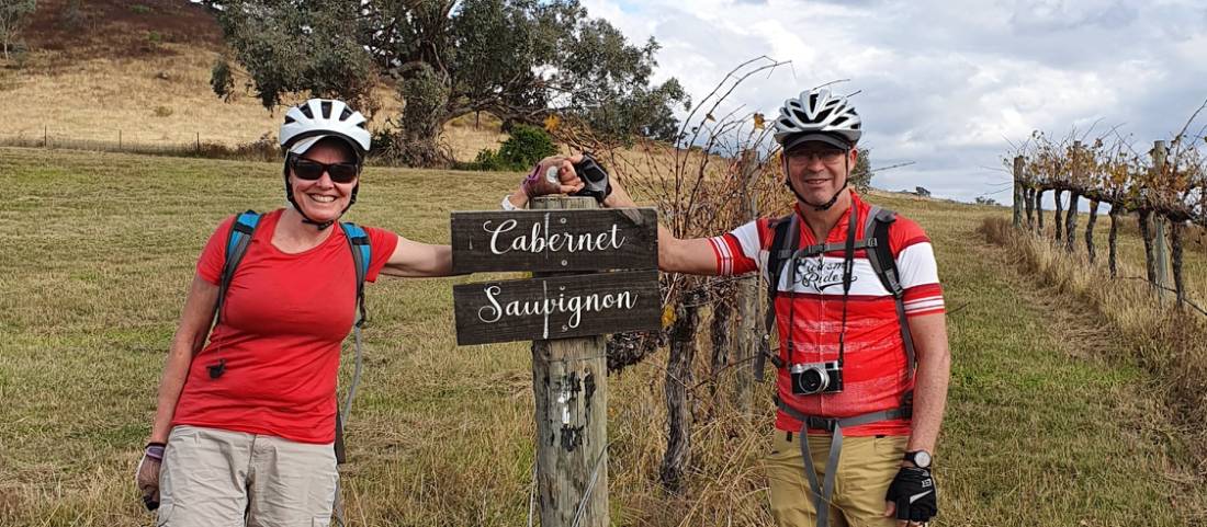 Cyclists in the vines at the Moothi Estate in Mudgee |  <i>Ross Baker</i>