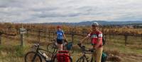 Cyclists in the vines at the Moothi Estate in Mudgee | Ross Baker