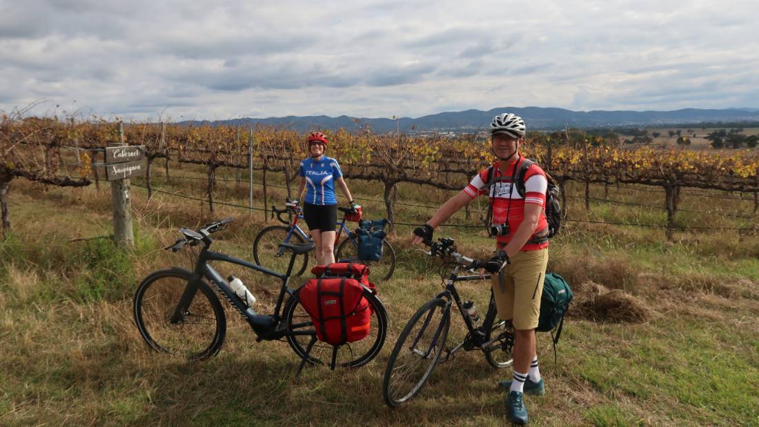 Cyclists in the vines at the Moothi Estate in Mudgee |  <i>Ross Baker</i>