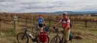 Cyclists in the vines at the Moothi Estate in Mudgee | Ross Baker