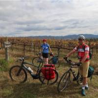 Cyclists in the vines at the Moothi Estate in Mudgee | Ross Baker