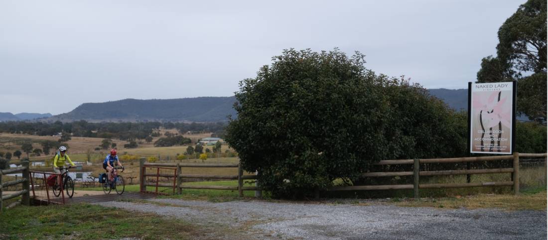 Cyclists leaving the Naked Lady Vineyard in Rylstone |  <i>Ross Baker</i>