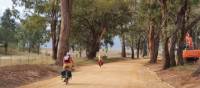 Cyclists on the Glen Alice road in the Capertee Valley | Ross Baker