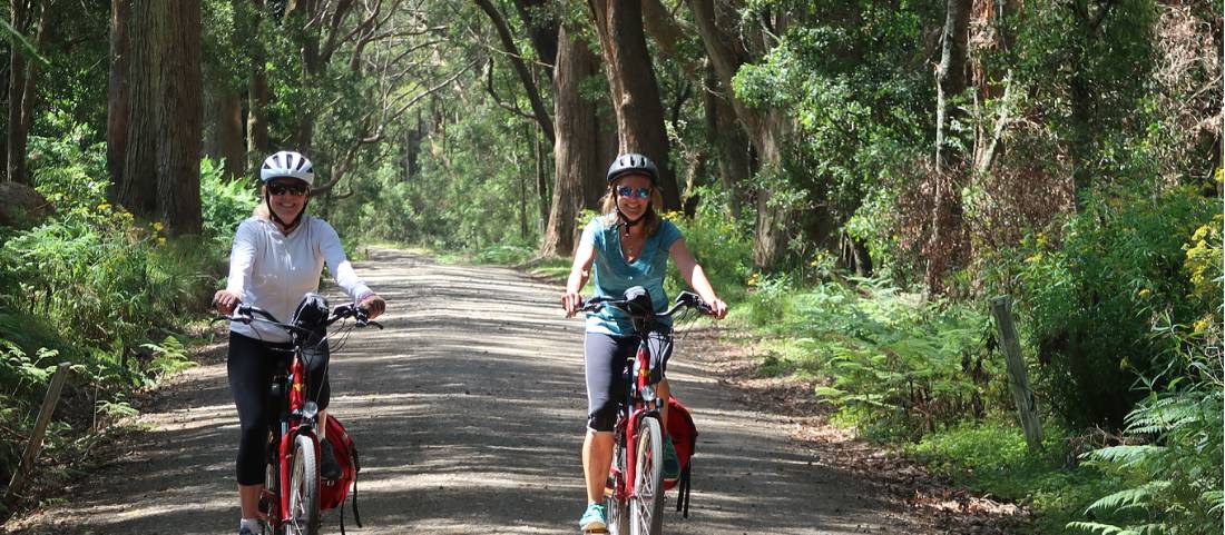 Cyclists on a quiet road to the Belmore Falls |  <i>Kate Baker</i>