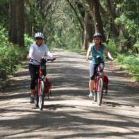 Cyclists on a quiet road to the Belmore Falls | Kate Baker
