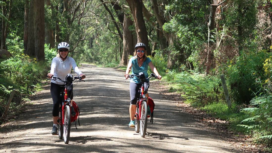 Cyclists on a quiet road to the Belmore Falls |  <i>Kate Baker</i>