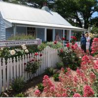 Exeter Cottage with Flowers in springtime | Kate Baker