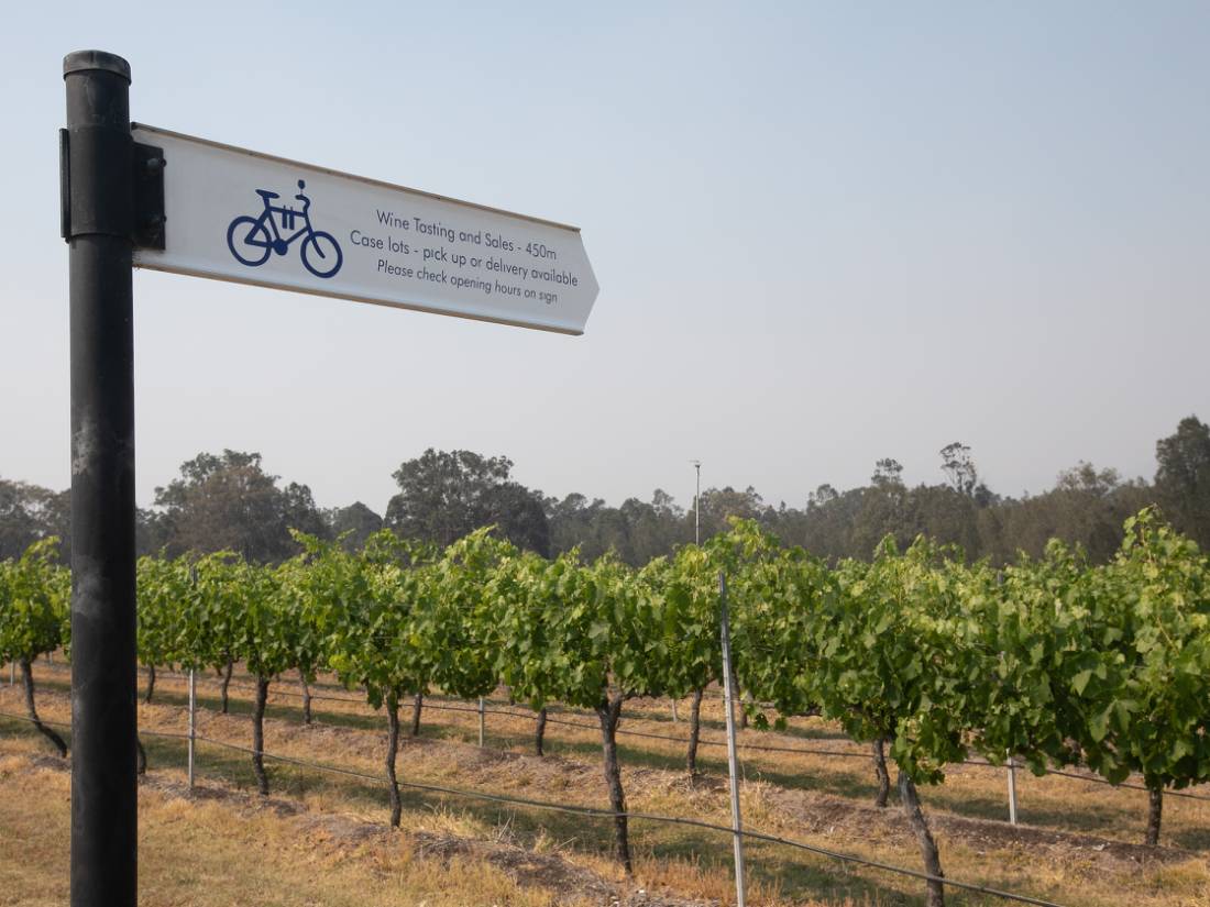 Follow the Hunter Valley's dedicated cycle route |  <i>Bruce Baker</i>