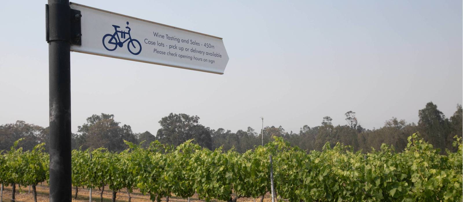 Follow the Hunter Valley's dedicated cycle route | Bruce Baker