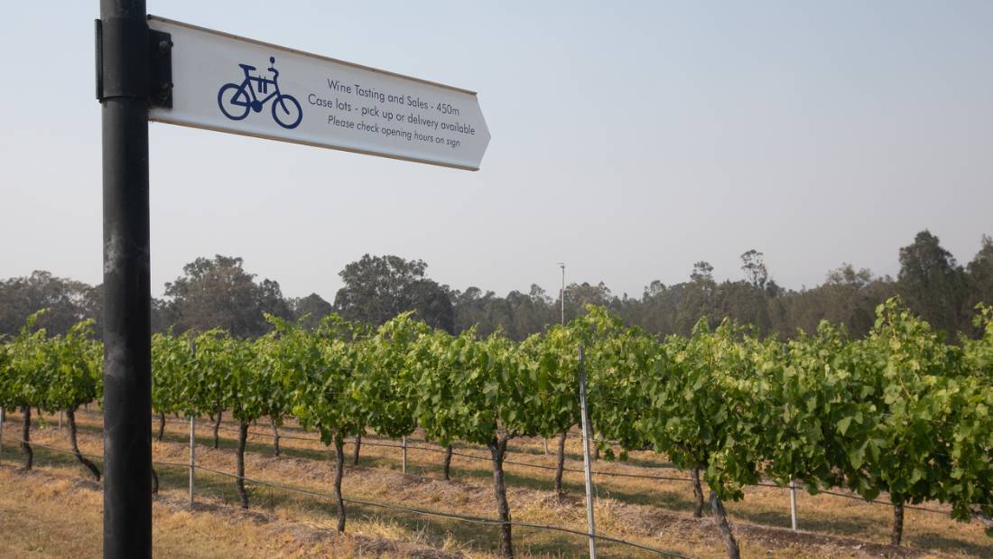 Follow the Hunter Valley's dedicated cycle route |  <i>Bruce Baker</i>