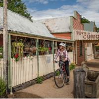 Cycle the charming streets of Gulgong | Tim Charody