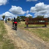 Cycling in Wine Country, Australia | Kate Baker