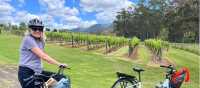 Cycling among the vineyards in the Hunter Valley | Kate Baker