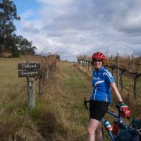 In the vines in Mudgee | Ross Baker