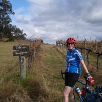 In the vines in Mudgee | Ross Baker