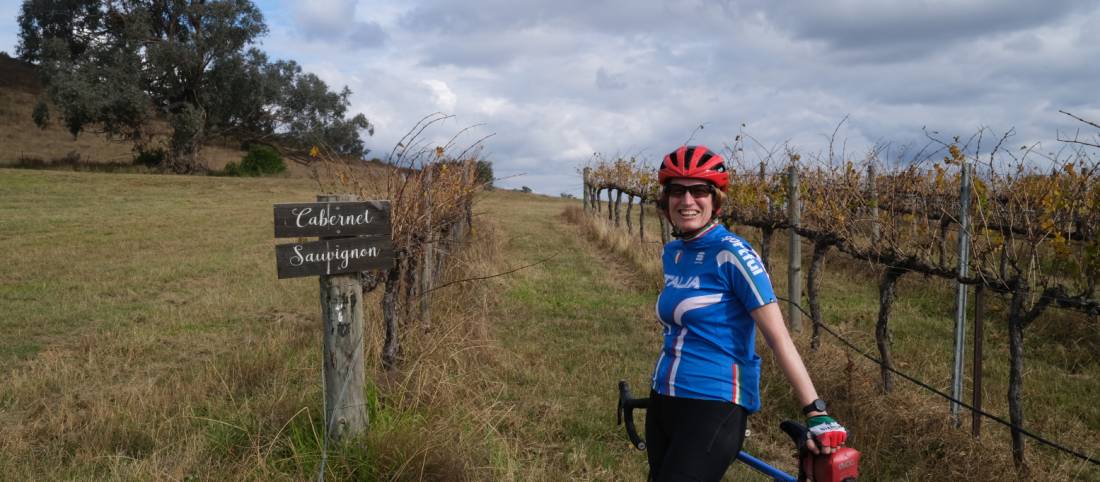 In the vines in Mudgee |  <i>Ross Baker</i>