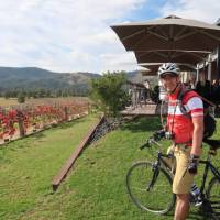 Moothi Estate Vineyard in Mudgee | Ross Baker