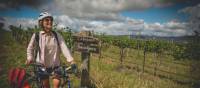 Reach the Moothi Vineyard by bike | Tim Charody