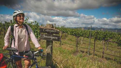 Reach the Moothi Vineyard by bike | Tim Charody