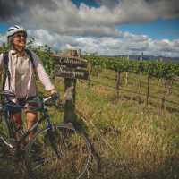 Reach the Moothi Vineyard by bike | Tim Charody