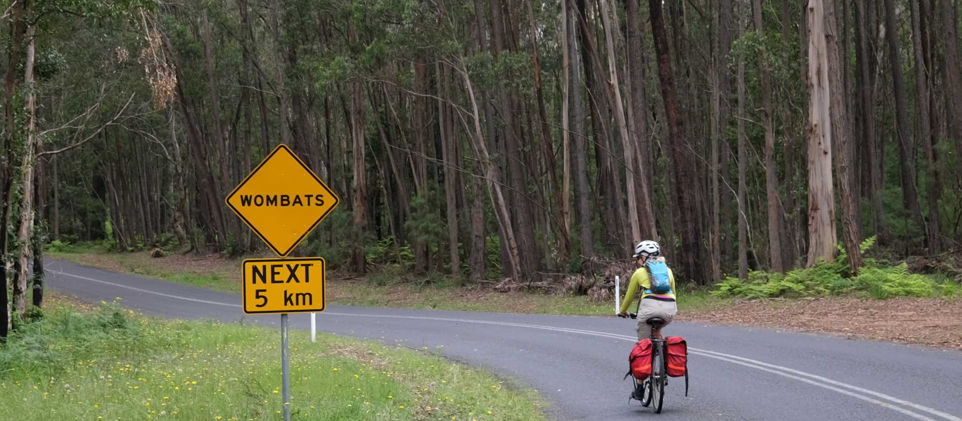 Myrtle Mountain Wombat sign with Cyclist | Ross Baker