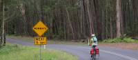 Myrtle Mountain Wombat sign with Cyclist | Ross Baker
